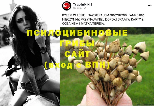 метадон Богородск