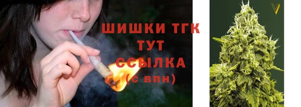 первитин Богородицк