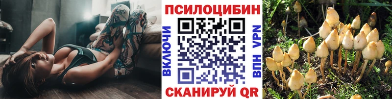 OMG ССЫЛКА Нарьян-Мар Галлюциногенные грибы Cubensis закладка